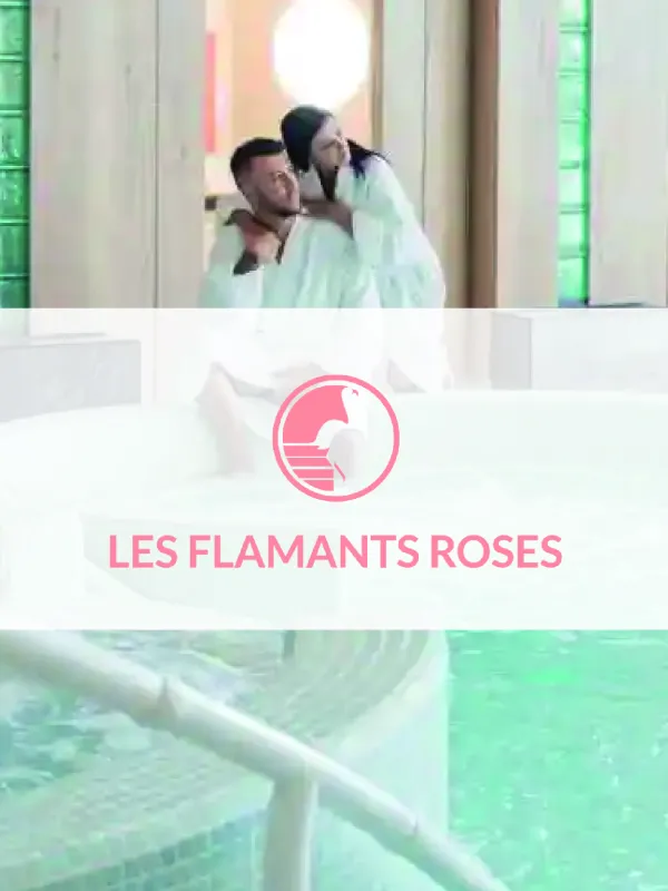 Produit Les Flamants Roses "Les Modelages" (2025) Image